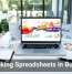 Rethinking Spreadsheets in Business