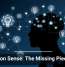Common Sense: The Missing Piece in AI
