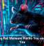 Laughing Rat Malware Hacks You and Mocks You