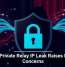 Apple Private Relay IP Leak Raises Privacy Concerns